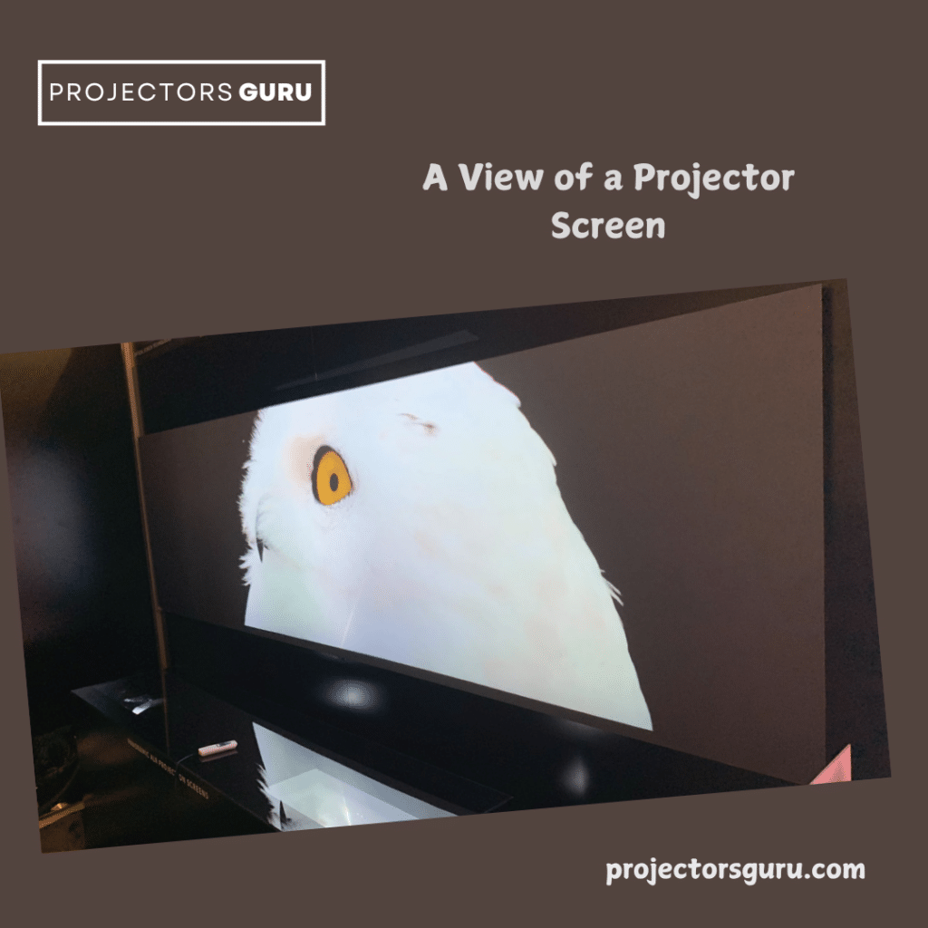 A view of a projector screen