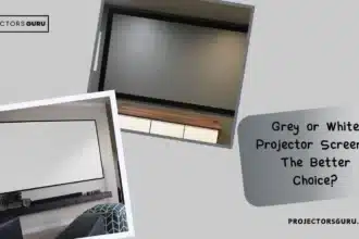 Grey or White Projector Screen The Better Choice x